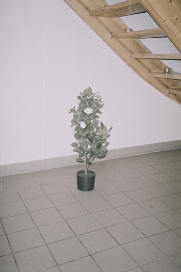 http://sofieamalieklougart.dk/files/gimgs/41_005a.jpg